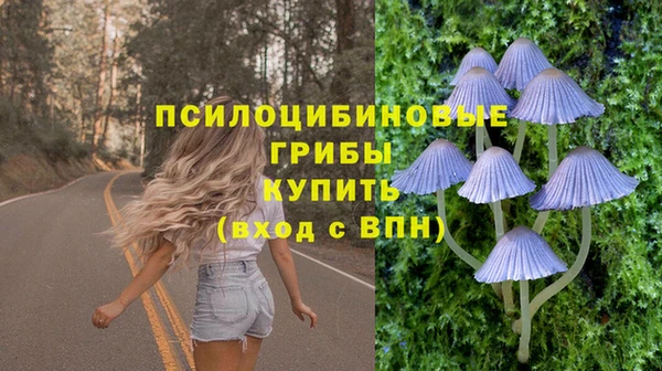 твердый Богородицк